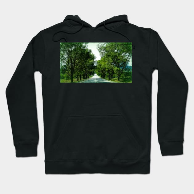 Pathway Hoodie by tryspiritual